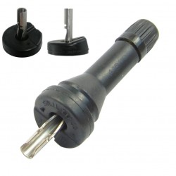 Valves TPMS 25 (x10)