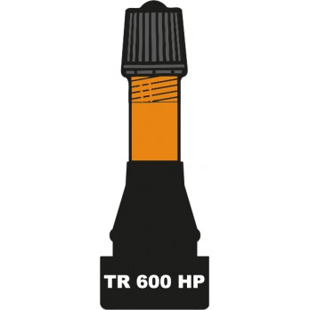 Valves haute pression TR 600 HP (x10)