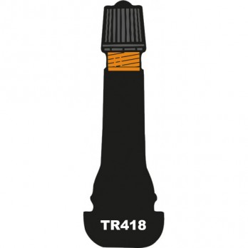 Valves TR418 (x100)